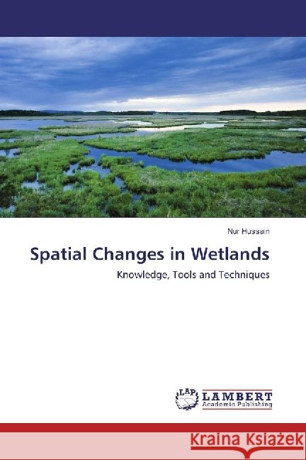 Spatial Changes in Wetlands : Knowledge, Tools and Techniques Hussain, Nur 9783330337145