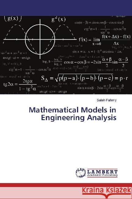 Mathematical Models in Engineering Analysis Fahmy, Salah 9783330341333