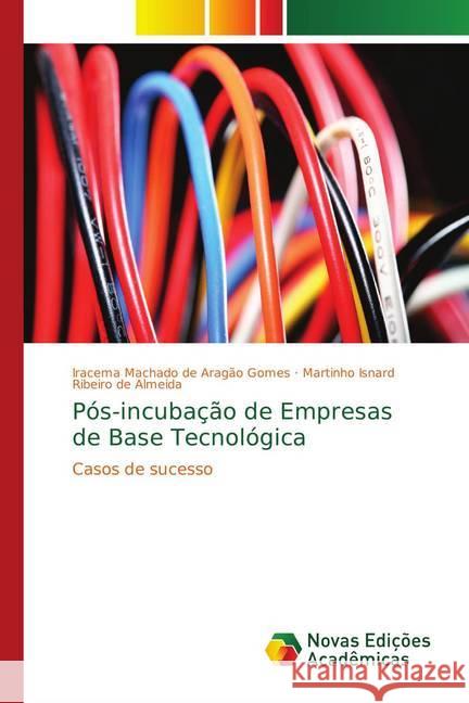 Pós-incubação de Empresas de Base Tecnológica : Casos de sucesso Machado de Aragão Gomes, Iracema; Isnard Ribeiro de Almeida, Martinho 9783330742703