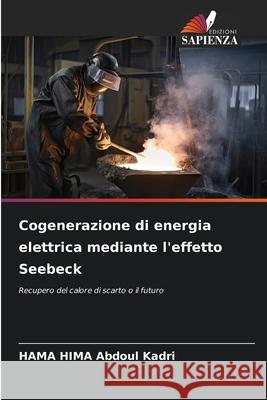 Cogenerazione di energia elettrica mediante l'effetto Seebeck Abdoul Kadri, HAMA HIMA 9783330750593 Edizioni Sapienza
