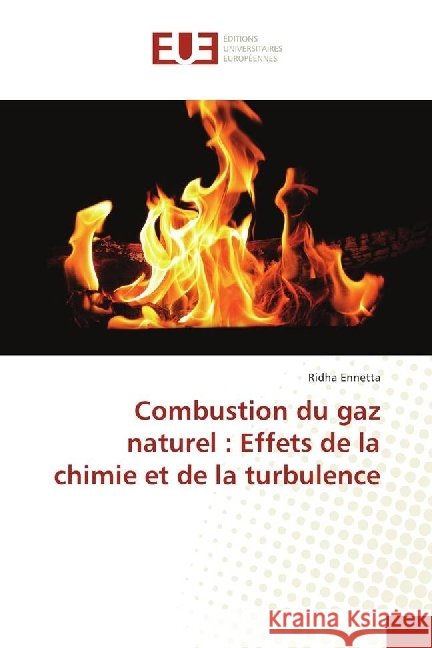 Combustion du gaz naturel : Effets de la chimie et de la turbulence Ennetta, Ridha 9783330867871