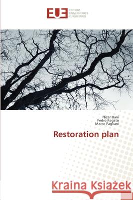 Restoration plan Hani, Nizar; Regato, Pedro; Pagliani, Marco 9783330868168 Éditions universitaires européennes