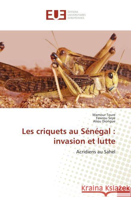 Les criquets au Sénégal : invasion et lutte : Acridiens au Sahel Toure, Mamour; Seye, Fawrou; Diongue, Aliou 9783330870284