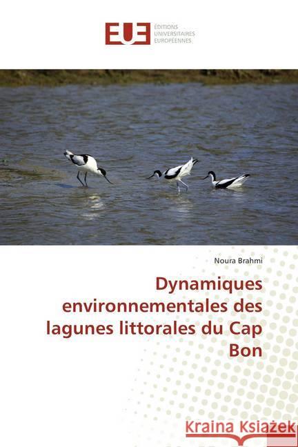 Dynamiques environnementales des lagunes littorales du Cap Bon Brahmi, Noura 9783330878891