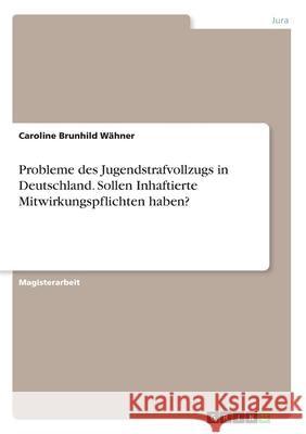 Probleme des Jugendstrafvollzugs in Deutschland. Sollen Inhaftierte Mitwirkungspflichten haben? W 9783346255365 Grin Verlag