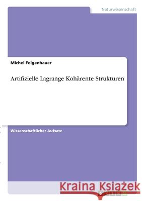 Artifizielle Lagrange Kohärente Strukturen Felgenhauer, Michel 9783346285911 Grin Verlag