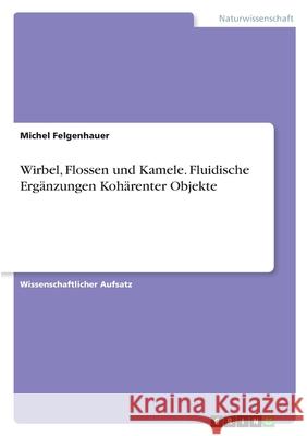 Wirbel, Flossen und Kamele. Fluidische Ergänzungen Kohärenter Objekte Felgenhauer, Michel 9783346390264 Grin Verlag