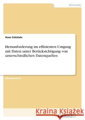 Herausforderung im effizienten Umgang mit Daten unter Ber?cksichtigung von unterschiedlichen Datenquellen Hans Sch?tzle 9783346596987 Grin Verlag