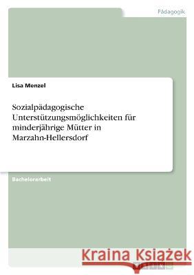 Sozialpädagogische Unterstützungsmöglichkeiten für minderjährige Mütter in Marzahn-Hellersdorf Menzel, Lisa 9783346626851 Grin Verlag