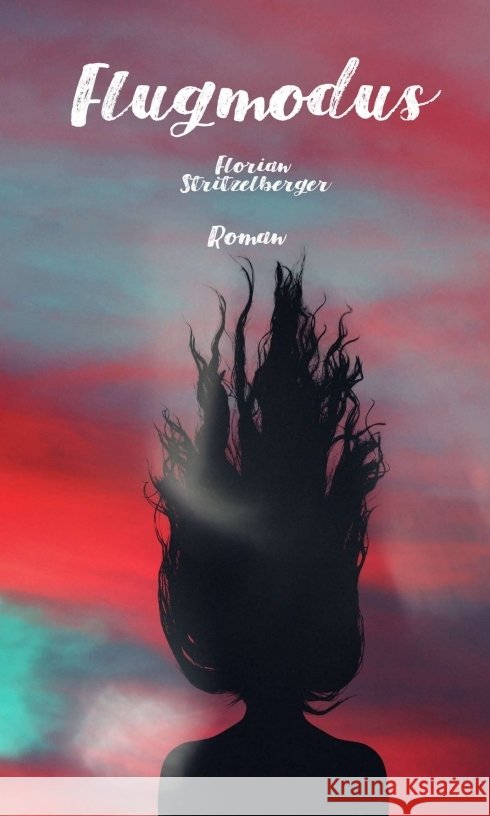 Flugmodus Stritzelberger, Florian 9783347053458