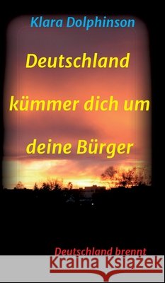 Deutschland Kümmer dich um deine Bürger: Deutschland brennt Dolphinson, Klara 9783347207653 Tredition Gmbh