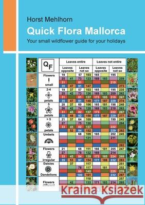 Quick Flora Mallorca: Your small wildflower guide for your holidays Horst Mehlhorn 9783347289550 Tredition Gmbh