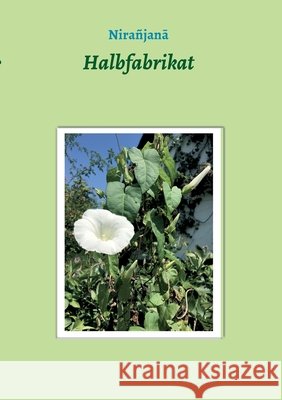 Halbfabrikat Nira 9783347418943