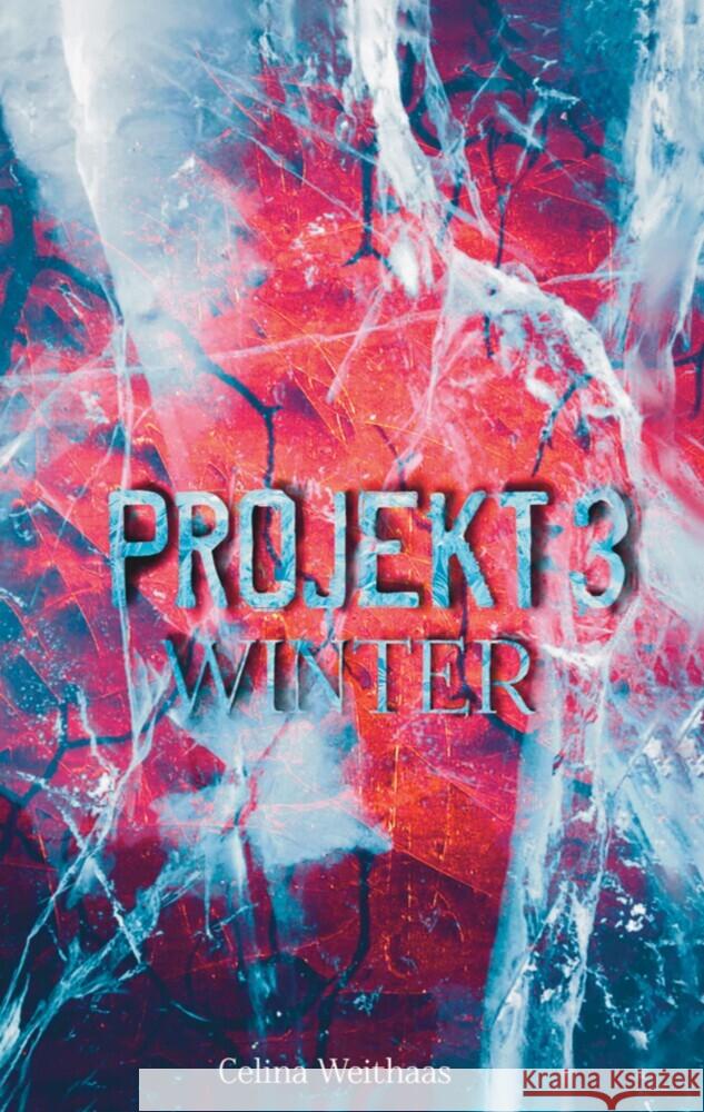 Winter: Projekt III Celina Weithaas 9783347423244