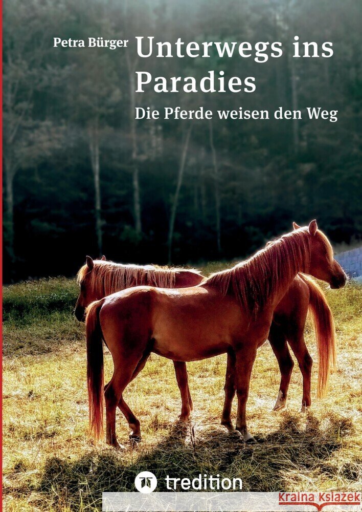 Unterwegs ins Paradies Bürger, Petra 9783347502567