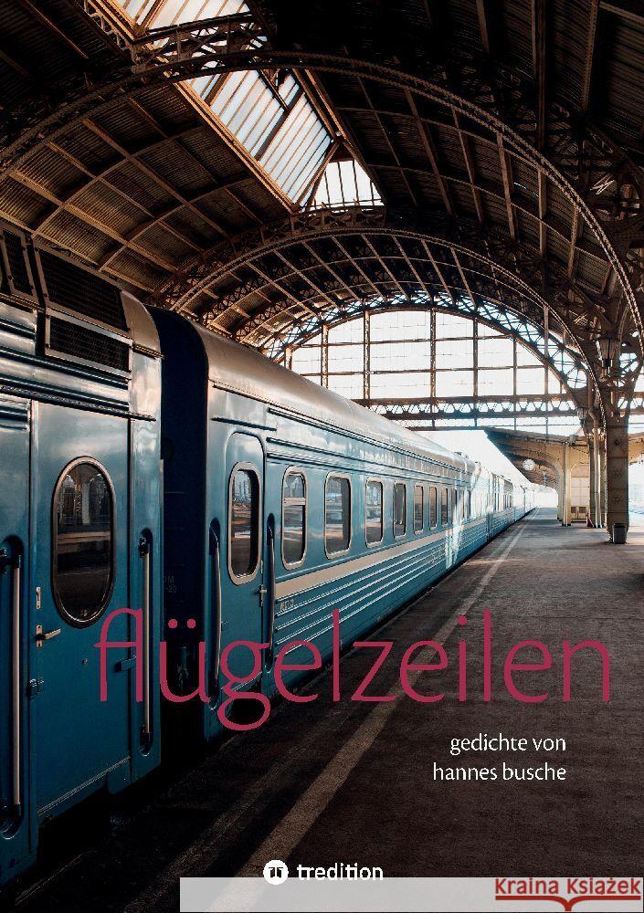 Flügelzeilen Busche, Hannes 9783347505476