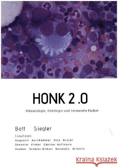 HONK Bott, Alexander, Siegler, Gabriele 9783347527522