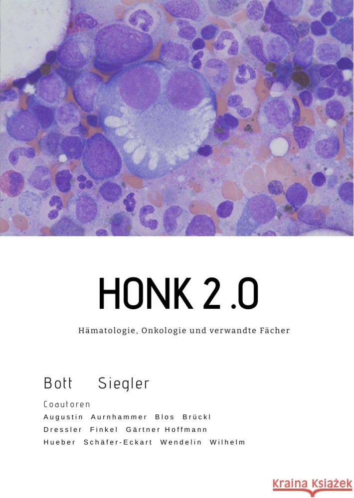 HONK Bott, Alexander, Siegler, Gabriele 9783347527539