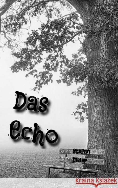 Das Echo Meier, Stefan 9783347538382