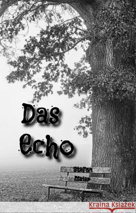 Das Echo Meier, Stefan 9783347538405