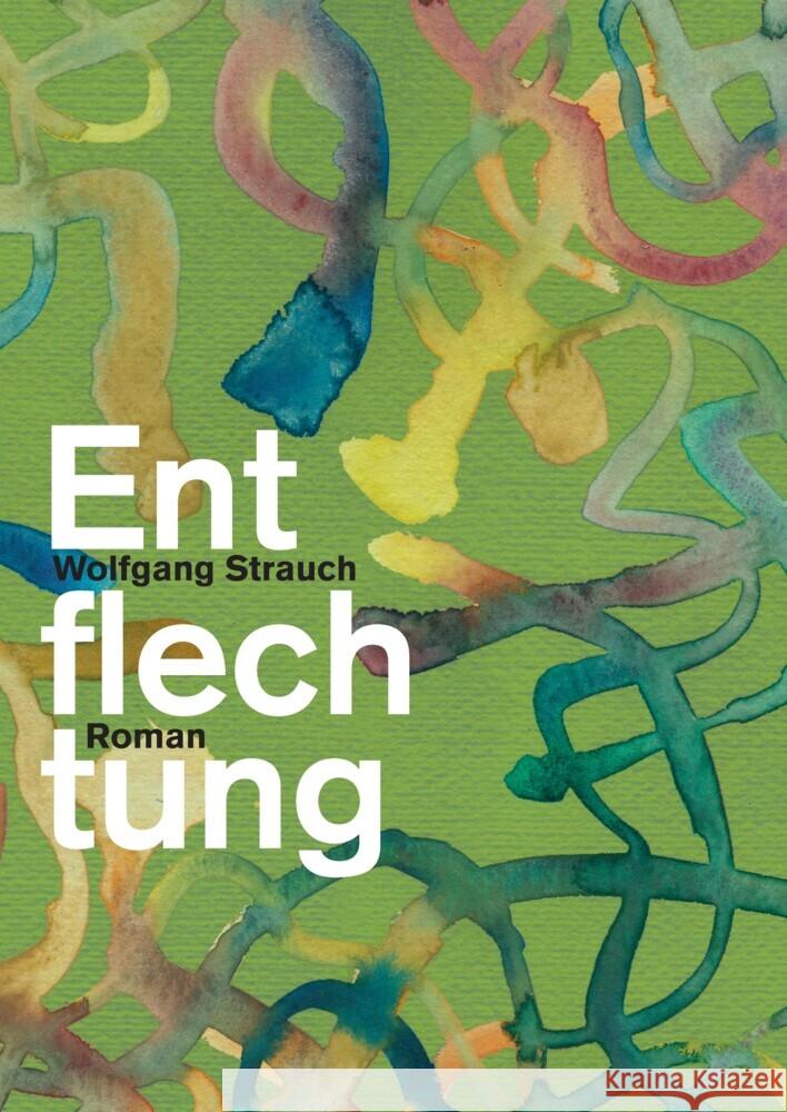 Entflechtung Strauch, Wolfgang 9783347592025