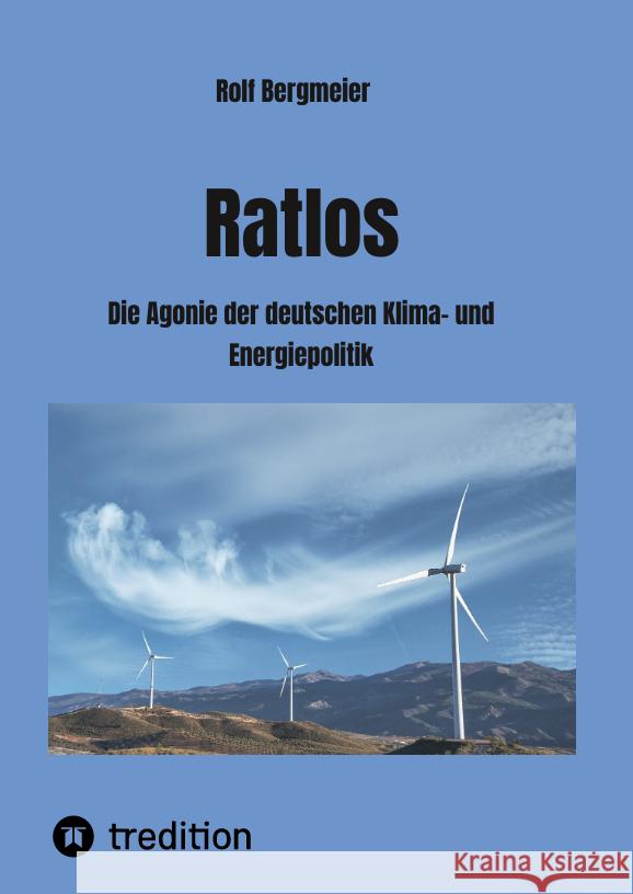 Ratlos Bergmeier, Rolf 9783347627994