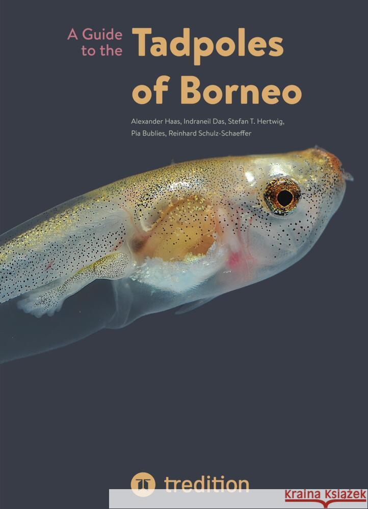 A Guide to the Tadpoles of Borneo Haas, Alexander, Das, Indraneil, Hertwig, Stefan T. 9783347643451