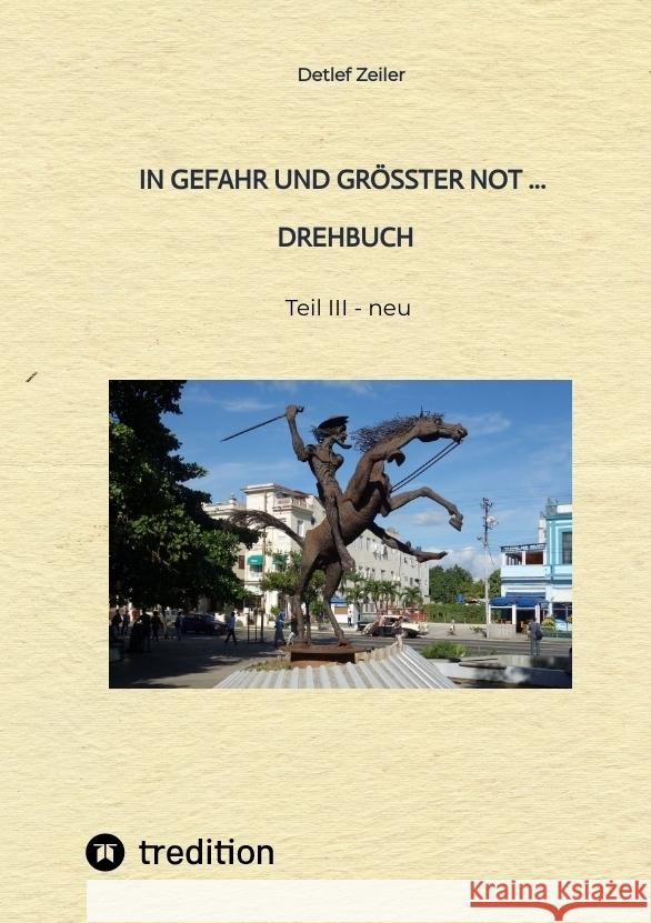 In Gefahr und größter Not - Drehbuch Zeiler, Detlef 9783347681798