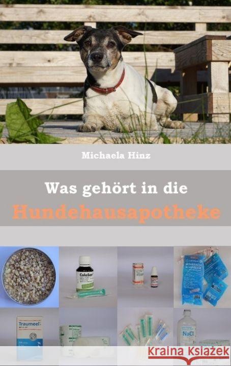 Was gehört in die Hundehausaportheke Hinz, Michaela 9783347722446