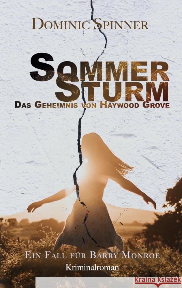 Sommersturm - Das Geheimnis von Haywood Grove: Der zweite Fall für Barry Monroe Spinner, Dominic 9783347722606