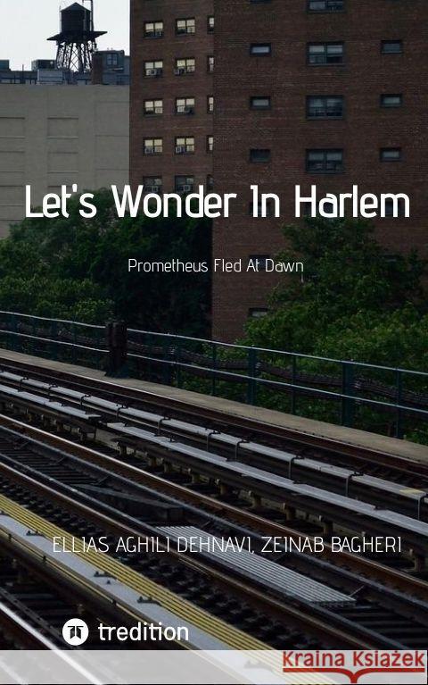 Let's Wonder In Harlem Aghili Dehnavi , Ellias, Bagheri, Zeinab 9783347724877