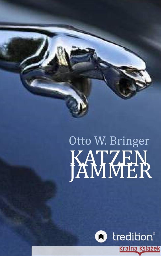 Katzenjammer Bringer, Otto W. 9783347726192 tredition