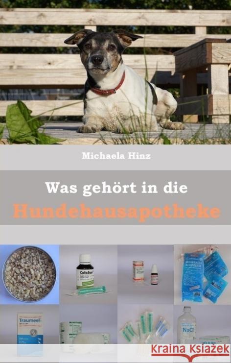 Was gehört in die Hundehausaportheke Hinz, Michaela 9783347731202