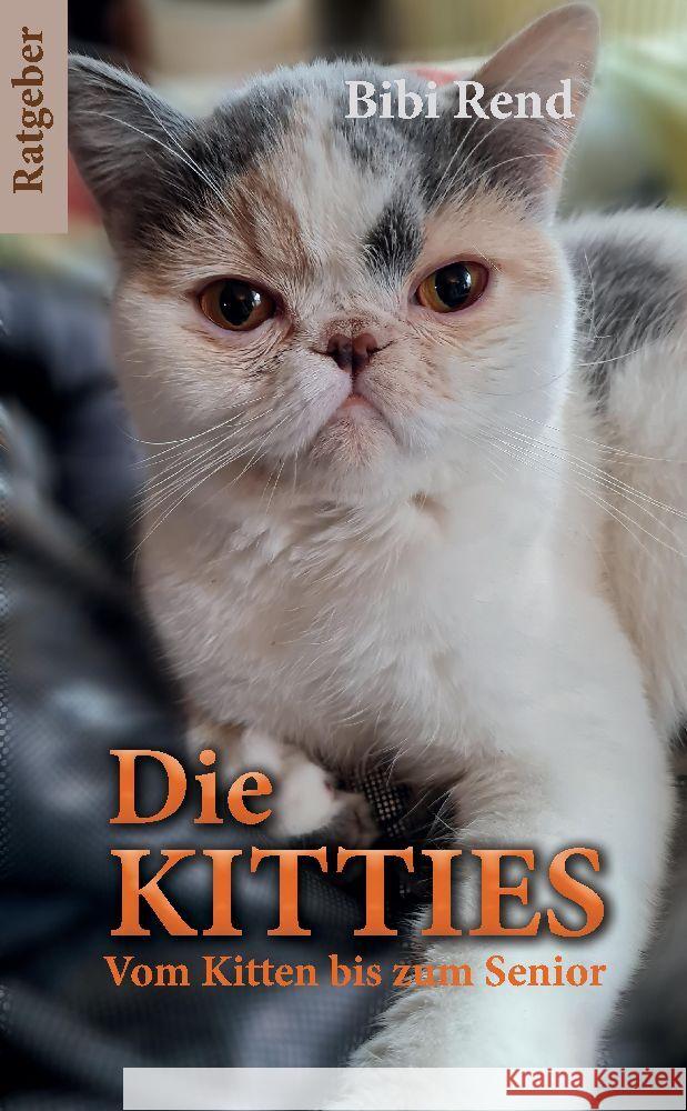 Die Kitties Rend, Bibi, Koß, Jessica 9783347738881