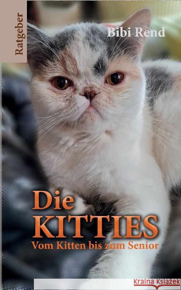 Die Kitties Rend, Bibi, Koß, Jessica 9783347738898