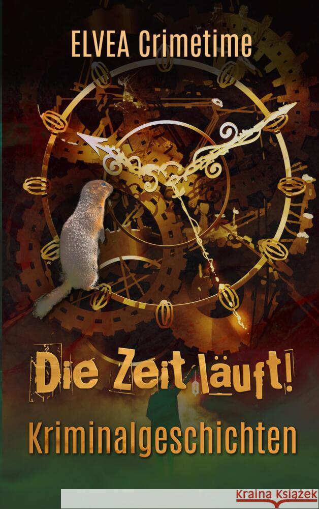 Die Zeit läuft! Houtrouw, Sabine, Rain, Eliza, Hänisch, Felix 9783347765207