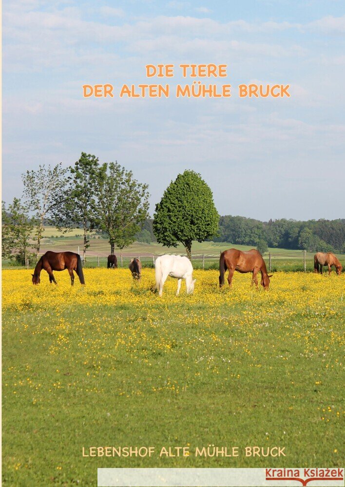 Wie kommt das Pony auf den Gnadenbrothof? Peter, Regina, Baller, Jana, Meyer, Alex 9783347775862
