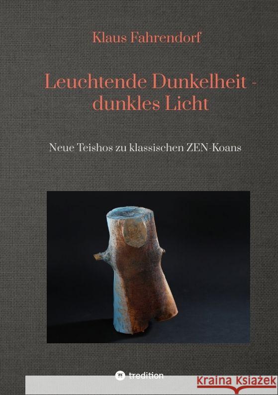 Leuchtende Dunkelheit - dunkles Licht Fahrendorf, Klaus 9783347785175 tredition