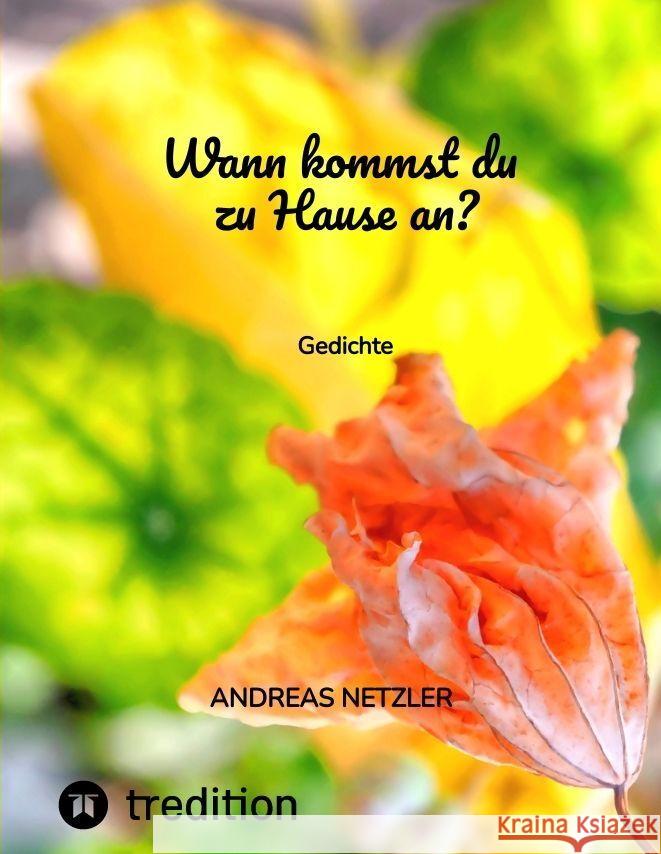 Wann kommst du zu Hause an? Netzler, Andreas 9783347827103