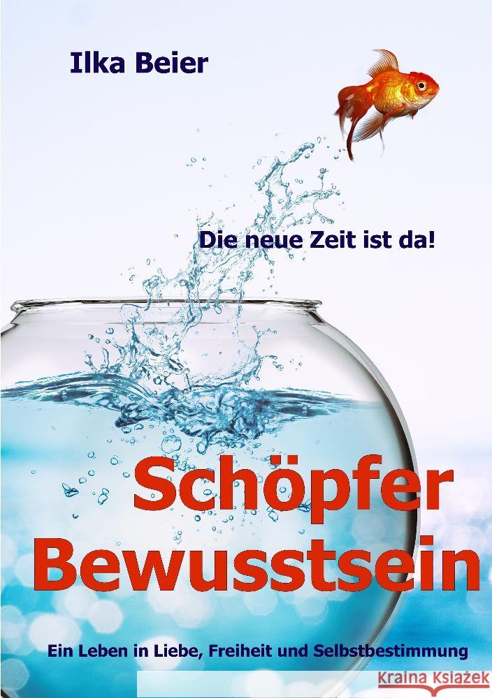 Schöpferbewusstsein - die neue Zeit ist da! Beier, Ilka 9783347833500