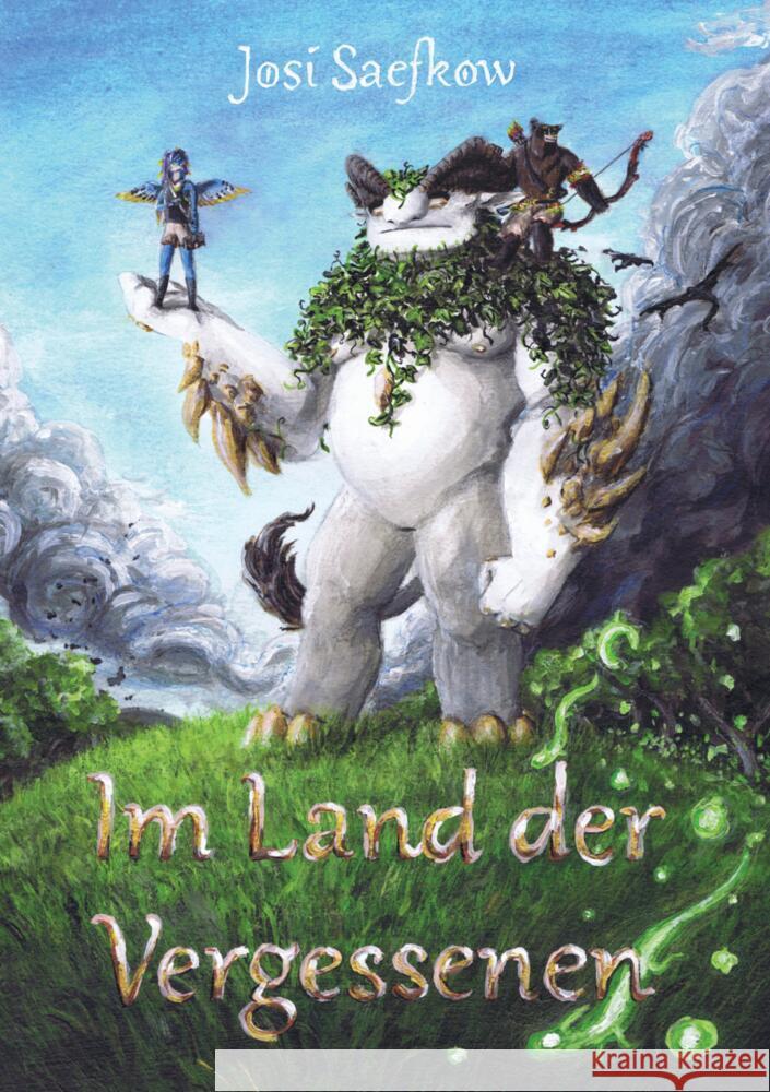 Im Land der Vergessenen - Fantasyroman mit mehr als 100 handgezeichneten Illustrationen. Josi Saefkow 9783347867512