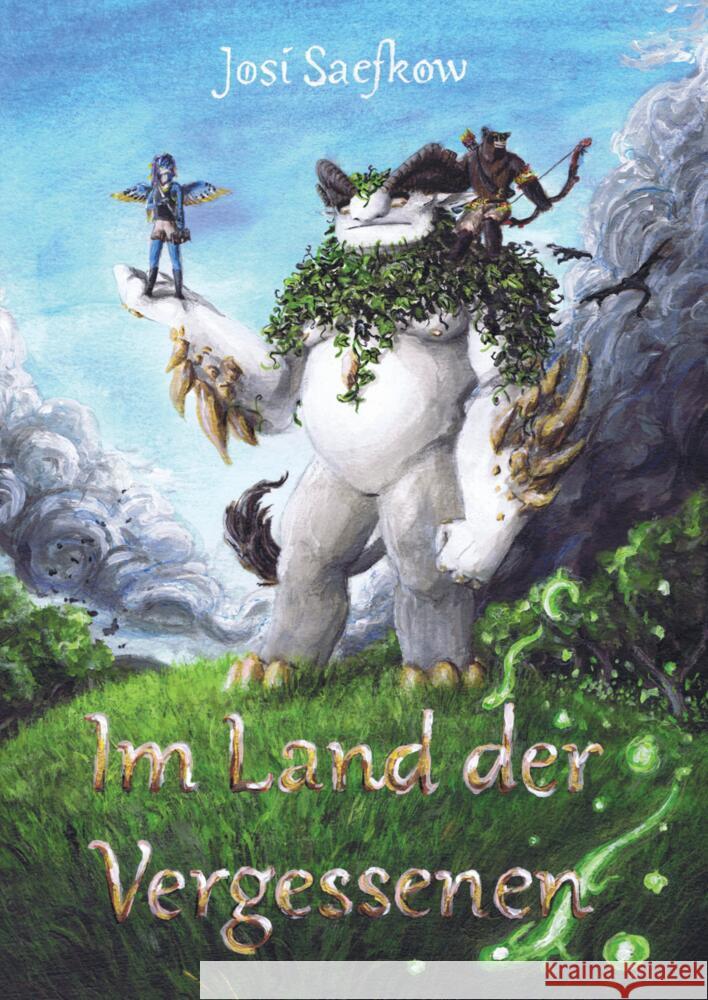 Im Land der Vergessenen - Fantasyroman mit mehr als 100 handgezeichneten Illustrationen. Josi Saefkow 9783347867529