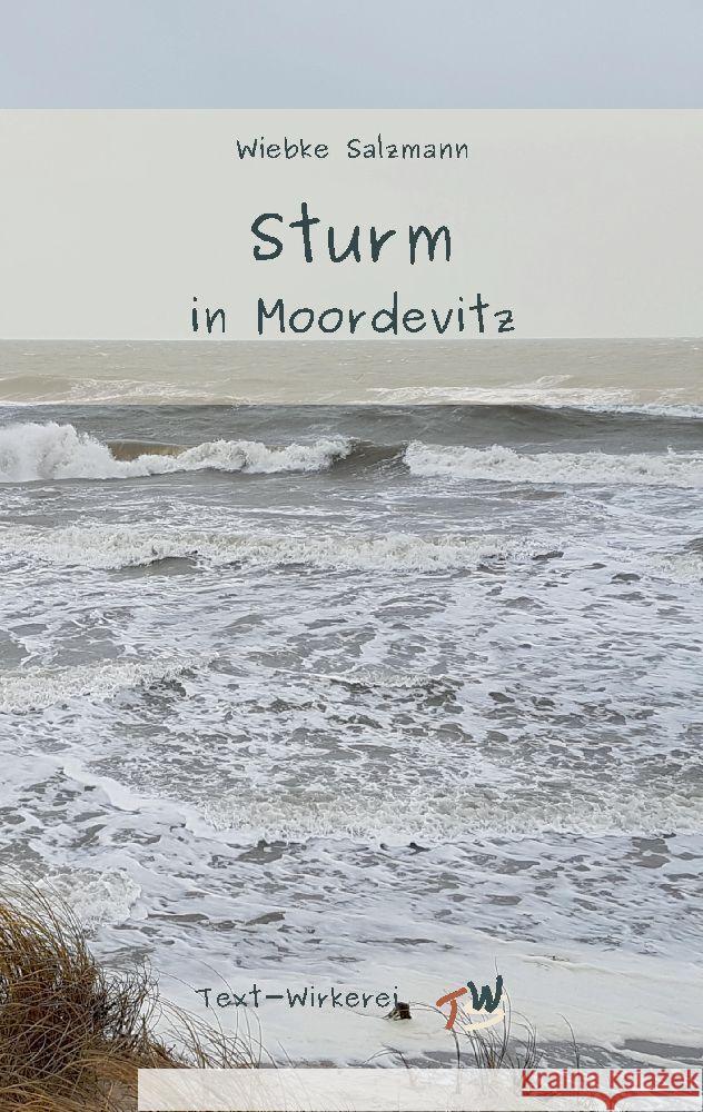 Sturm in Moordevitz Salzmann, Wiebke 9783347922495