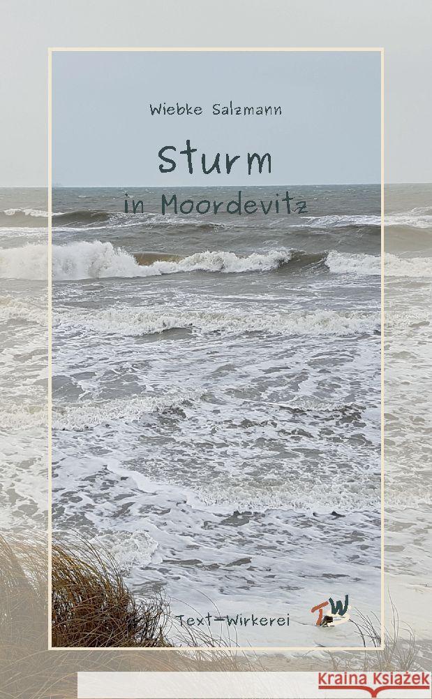 Sturm in Moordevitz Salzmann, Wiebke 9783347922525 text-wirkerei