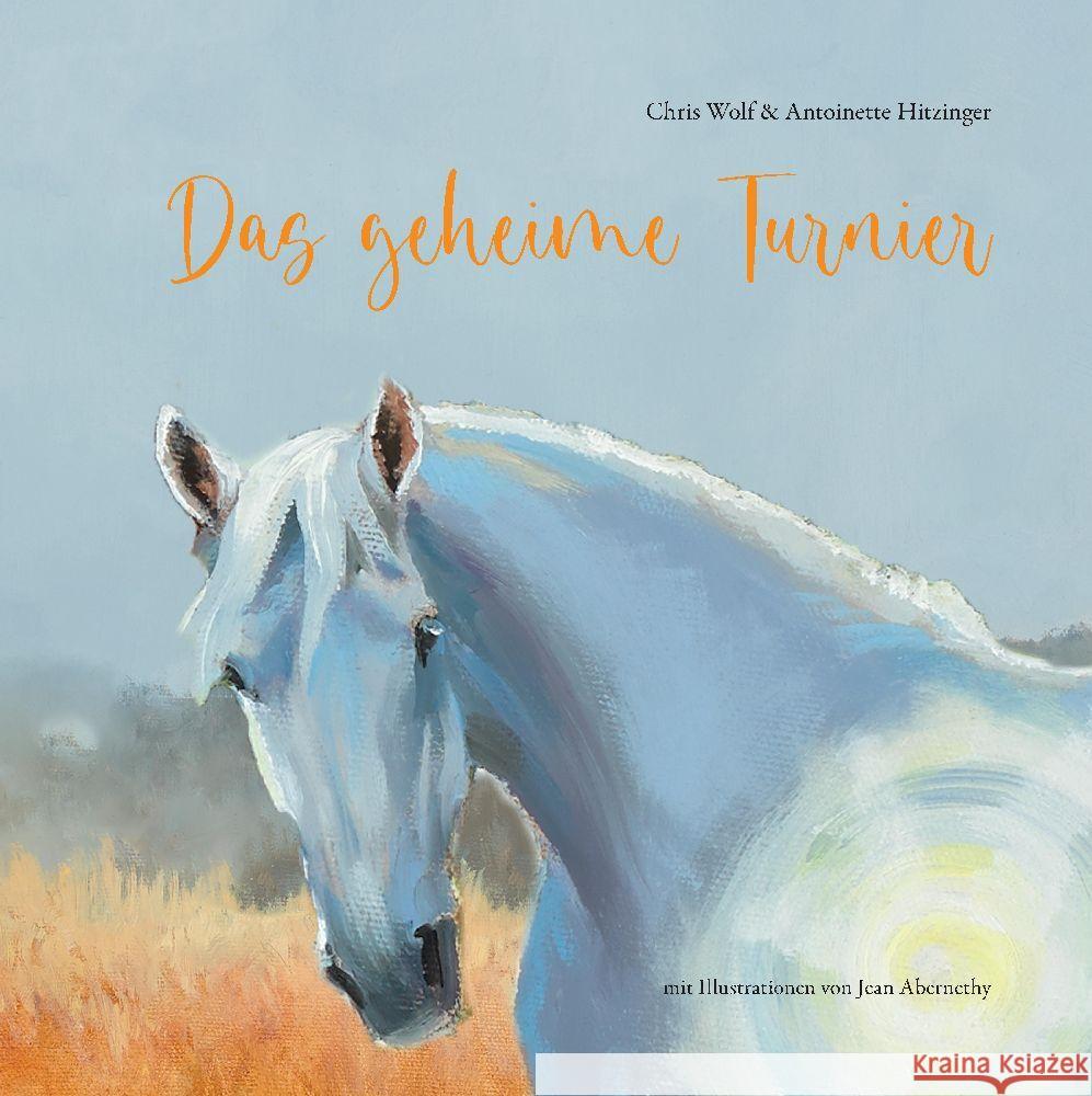 Das geheime Turnier Wolf, Chris, Hitzinger, Antoinette 9783347926370