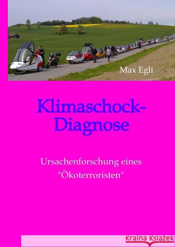 Klimaschock-Diagnose Egli, Max 9783347937529