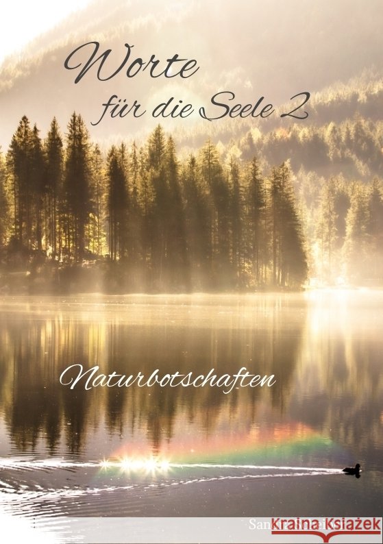 Worte für die Seele 2 Scheiber, Sandra 9783347952751 tredition