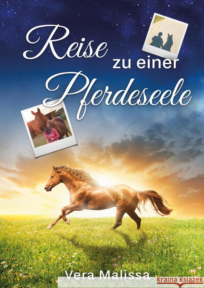 Reise zu einer Pferdeseele Malissa, Vera 9783347954151