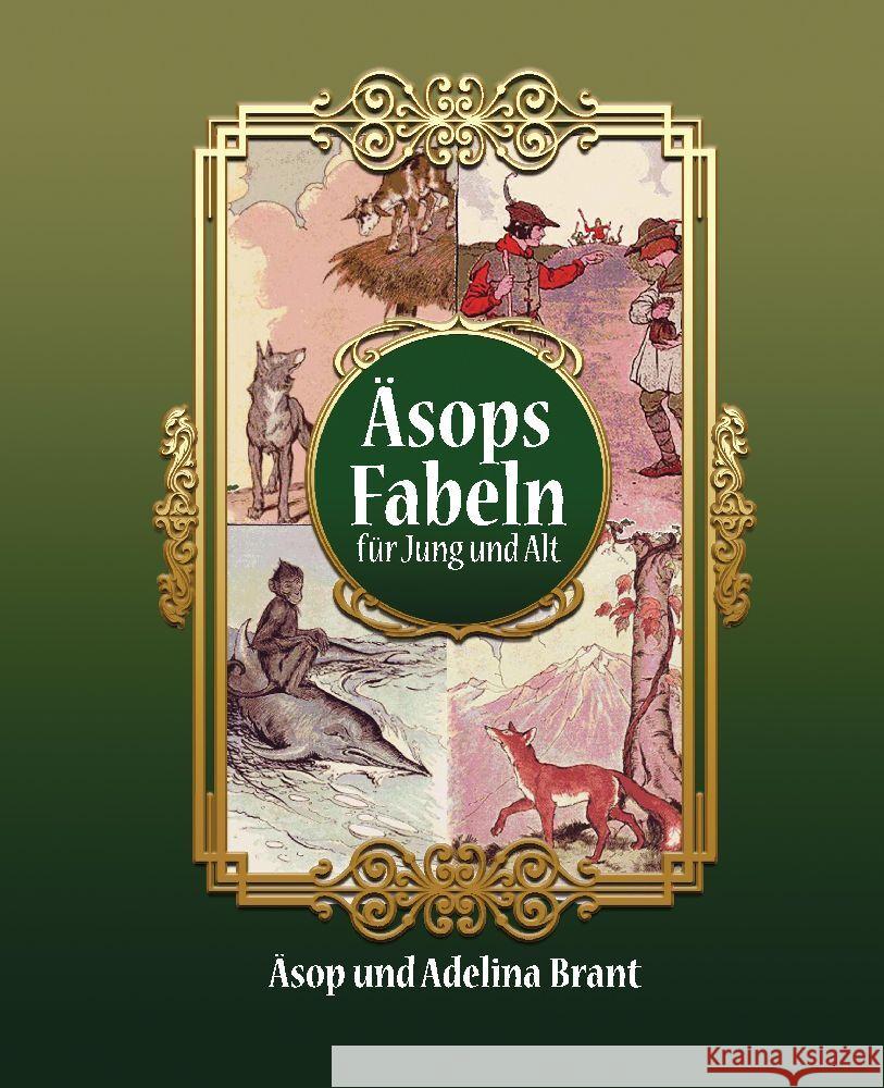 Äsops Fabeln für Jung und Alt Aesop 9783347958623