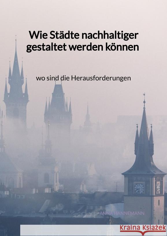 Wie Städte nachhaltiger gestaltet werden können - wo sind die Herausforderungen Hannemann, Anna 9783347972087